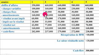 choix des investissements Partie 1 [upl. by Bak35]