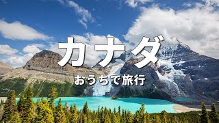 【バチカン市国】旅行  人気観光スポット特集！ ヨーロッパ旅行 お家で旅行 [upl. by Wohlen]