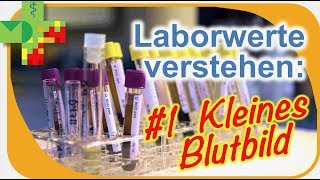 Laborwerte verstehen 1 Kleines Blutbild [upl. by Esinrahc]