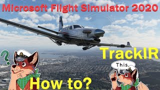 Microsoft Flight Simulator 2020 How to  TrackIR [upl. by Annalla244]