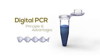 Digital PCR Principle amp Advantages [upl. by Novyad]