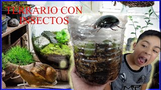 COMO HACER UN TERRARIO CON INSECTOS [upl. by Darnell]