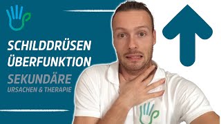 Schilddrüsenüberfunktion heilen  Ursache Symptome Therapie amp Ernährung [upl. by Cirda]