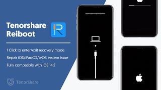 No1 iPhone Recovery Mode Software  ReiBoot Fix iOS Stuck [upl. by Akinaj]