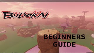 BUDOKAI BEGINNERS GUIDE [upl. by Aillij279]