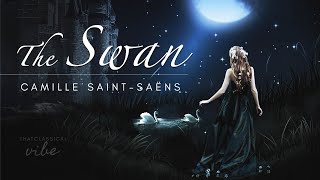 The Swan  SaintSaëns extended 1 hour [upl. by Sedecram]