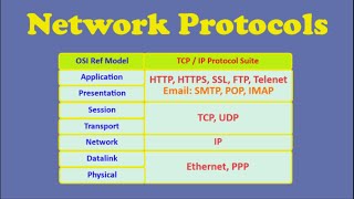 Network Protocols [upl. by Flanagan]