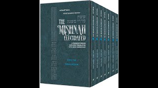 Mishna in English Tractate Sanhedrin Chapter 311 Mishna 48 [upl. by Kerstin]