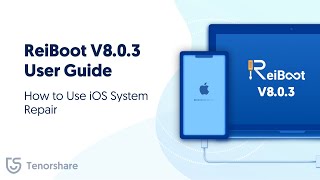 ReiBoot V803 User Guide How to Use iOS System Repair [upl. by Sokul]