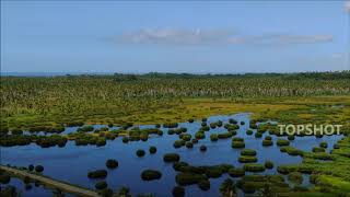 Icacos Wetlands 2018 [upl. by Moody]