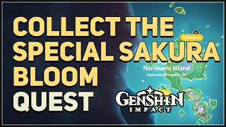 Collect the Special Sakura Bloom Genshin Impact [upl. by Khichabia]