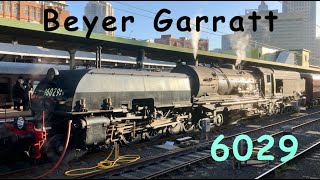 Australian Steam Trains Beyer Garratt 6029  In Review [upl. by Imre702]