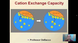 Cation Exchange Capacity [upl. by Kapeed]