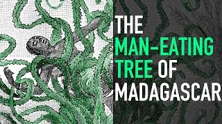 The ManEating Tree of Madagascar [upl. by Ellac]