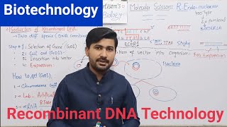 Biotechnology  biotechnology processes and principles Recombinant DNA technology  Biology class 12 [upl. by Urbain]