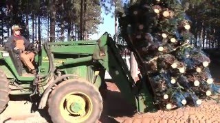 Christmas Tree Harvest at Dutchman Tree Farms [upl. by Aihsekan141]