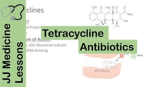 Tetracycline Antibiotics [upl. by Annohsak862]