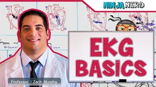 Cardiovascular  EKG Basics [upl. by Jaal]