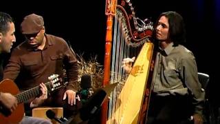 El Tren Lechero  Nicolas Carter on Paraguayan harp [upl. by Montanez815]