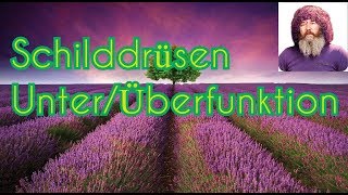 Schilddrüsen ÜberUnterfunktion  Was kann man machen Schilddrüsenerkrankungen Robert Franz [upl. by Benny]