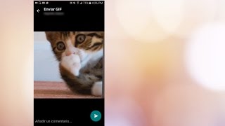 Cómo adjuntar GIFS en WhatsApp  ENTERCO [upl. by Drucy697]