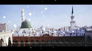 Madine ke Wali Madine bula lo MILAD raza qadri [upl. by Dlorrej]