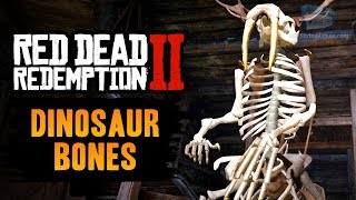 Red Dead Redemption 2  All Dinosaur Bones Locations Guide [upl. by Relyk]