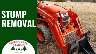 How Do Christmas Tree Farms Remove Stumps 242 [upl. by Leschen]