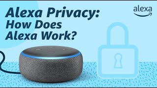 Alexa Privacy How Does Alexa Work [upl. by Evers]