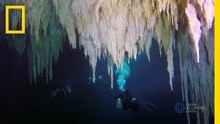 Explore the Worlds Largest Underwater Cave  National Geographic [upl. by Aiepoissac]