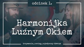 Eksperyment czas zacząć Podstawy gry na harmonijce HARMONIJKA LUŹNYM OKIEM 1 [upl. by Nealson]