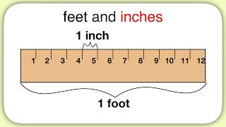 Measurement Feet and Inches [upl. by Jackqueline207]