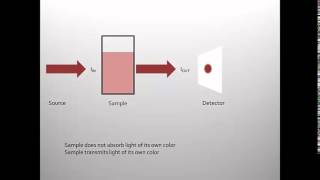 Intro to spectrophotometry [upl. by Ittap]