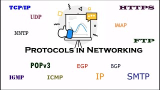 Protocol in Network Explain with Practical Examples [upl. by Nauaj]