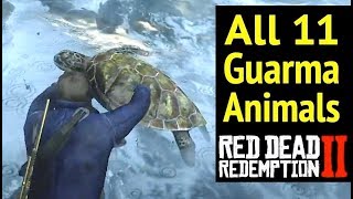 All 11 Guarma Animals in Red Dead Redemption 2 RDR2 Rare Green Turtle and Locations [upl. by Arda]