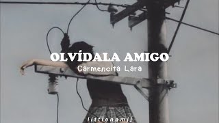 olvídala amigo — carmencita lara — letra [upl. by Sinnylg371]