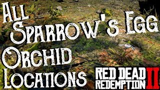 Red Dead Redemption 2  All 25 Sparrows Egg Orchid Locations Duchesses and Other Animals Exotics [upl. by Eirffej]