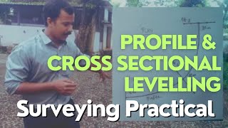 Profile and cross sectional Levelling  Surveying Practical [upl. by Dranel]