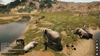 Animalia Survival Gameplay  Animal Migration [upl. by Ellennahc]