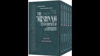 Mishna in English Tractate Sanhedrin Chapter 1011 Introduction [upl. by Skiest]