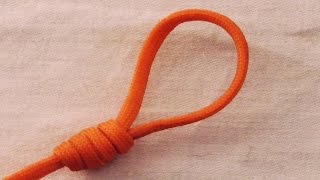 Fishing Knot How To Tie A Surgeons Loop Knot [upl. by Ettenyar29]