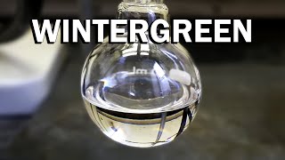 Making Wintergreen a minty odor and flavoring [upl. by Eitsud]