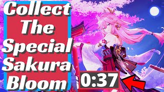 Collect The Special Sakura Bloom  Genshin Impact [upl. by Damalas]