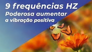 PODEROSA MÚSICA PARA ELEVAR VIBRAÇÃO POSITIVA  9 frequências Hz [upl. by Guerra]