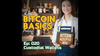 Bitcoin Wallets 2 What are custodial wallets 20 [upl. by Rhody]