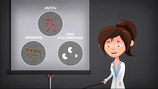 Basics of PCR [upl. by Rosaleen]