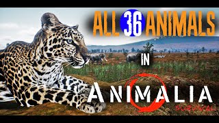 Animalia All 36 Animals Coming to the African Survival Game [upl. by Batty]