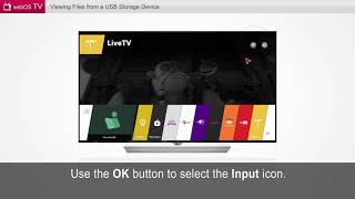 LG TVs Viewing Files from A USB Storage Device [upl. by Rockey]