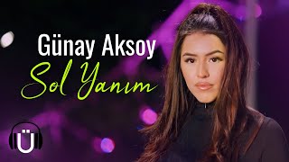 Günay Aksoy  Sol Yanım Official Music Video [upl. by Jessalyn276]