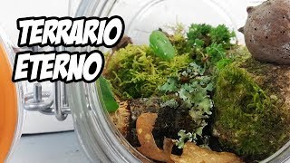 Cómo Hacer un TERRARIO ETERNO 🌱  Eternal Terrarium  La Huerta de Ivan [upl. by Buna526]